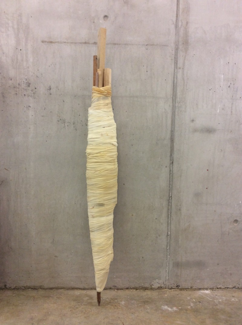 cosset. latex, found wood, 2015