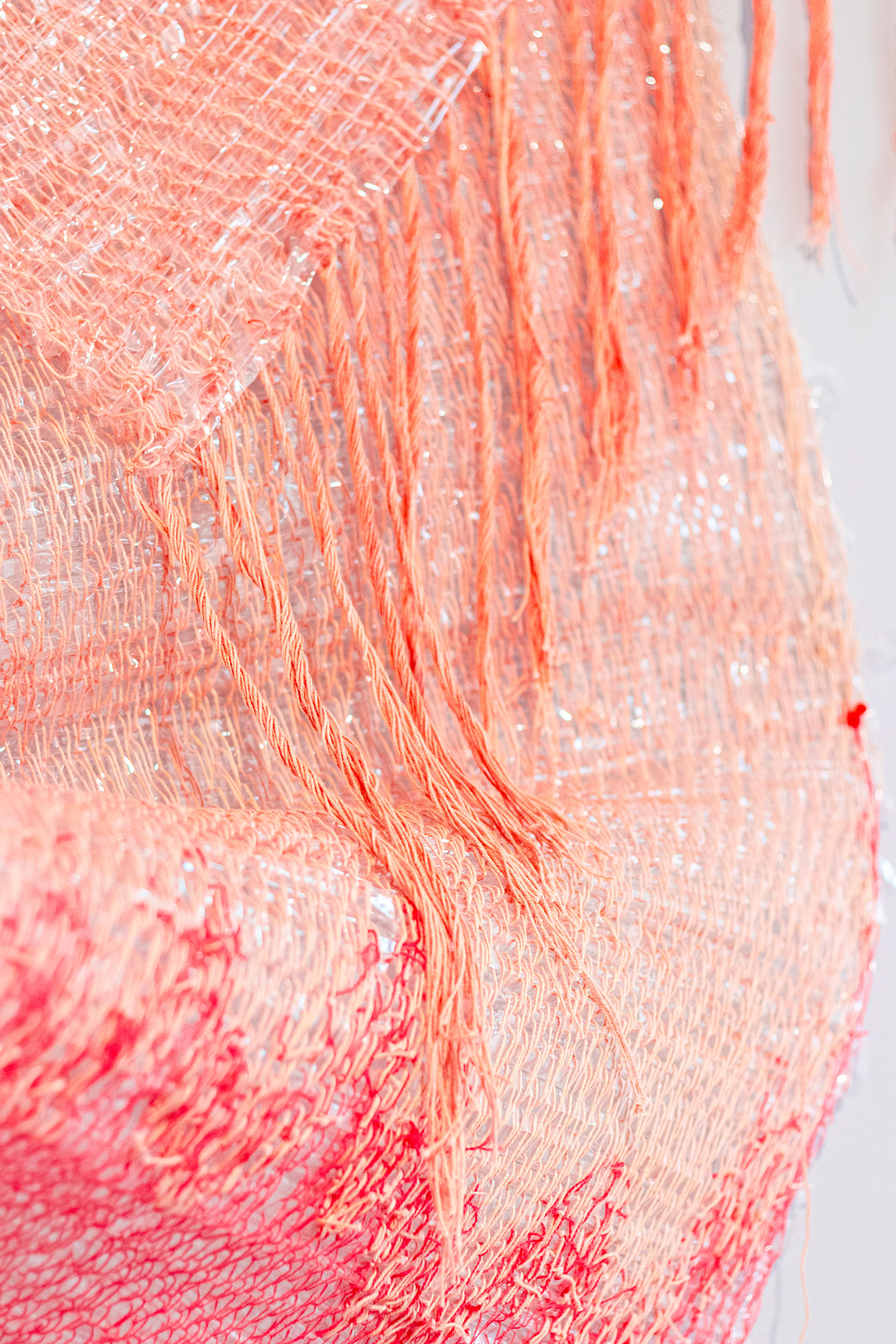 Detail of Red Tide at the Tracing Intricacies exhibition