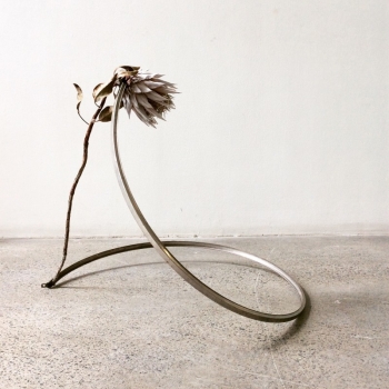 an appendage for afterlife #11. 2015