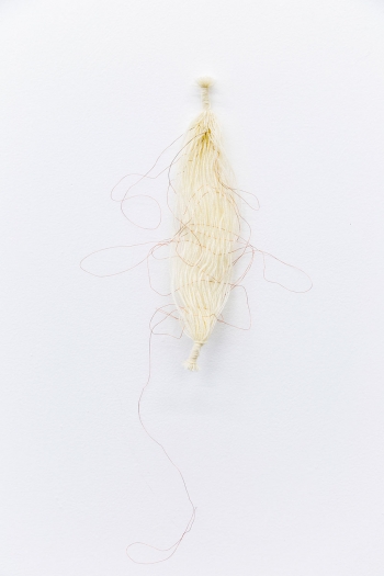 untitled (a day like this)